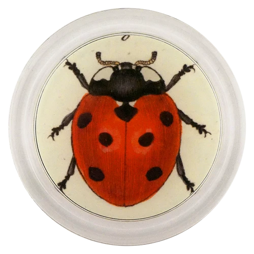 Coaster 6" Lady Bug