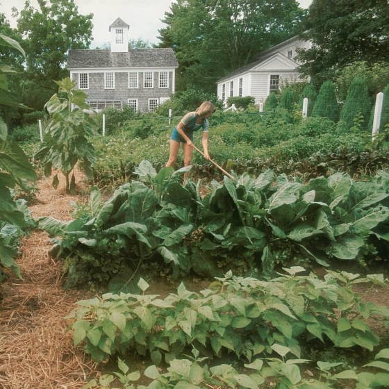 Book Entertaining Martha Retro