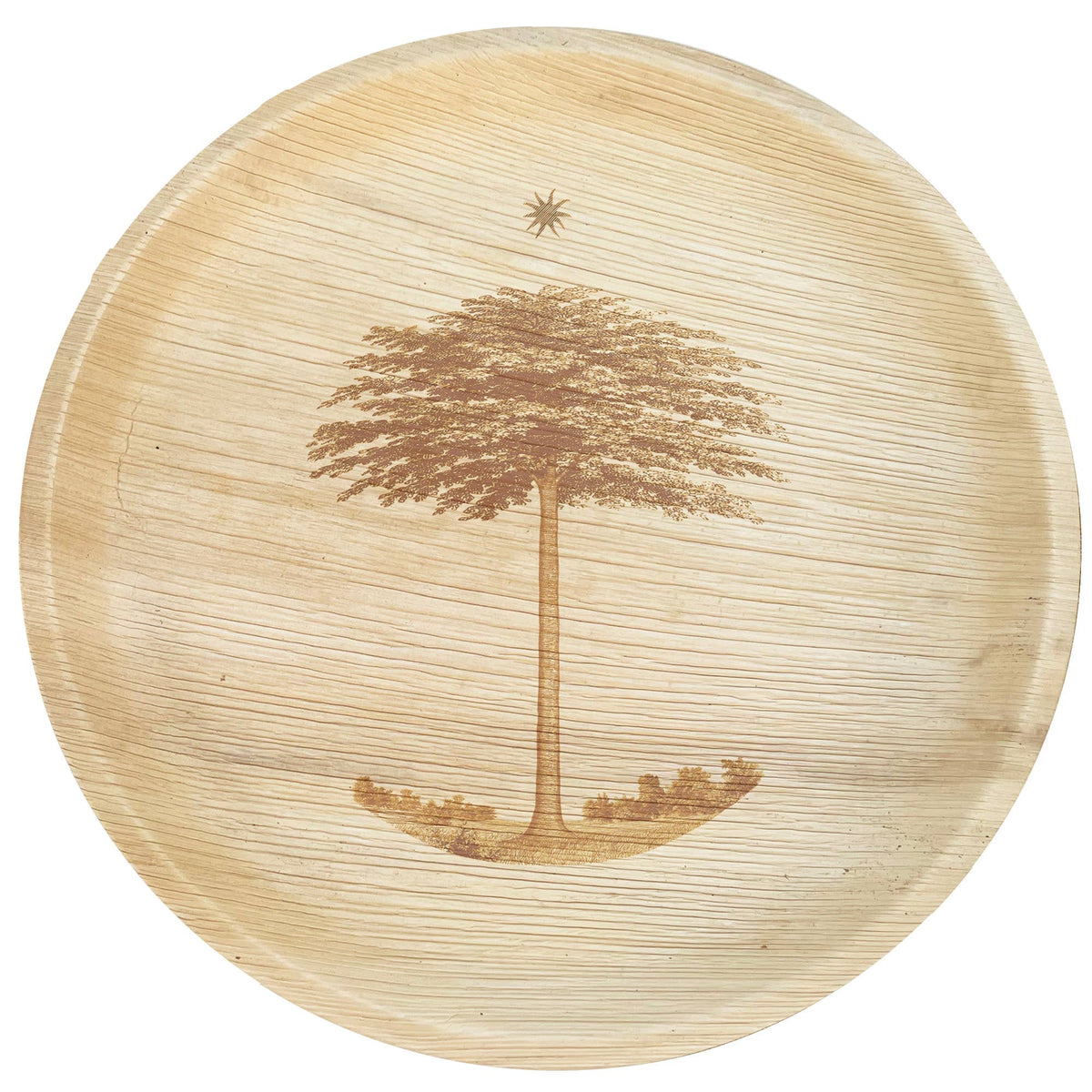Compostable Palm Leaf Plates | Shade Tree | 6”-12"