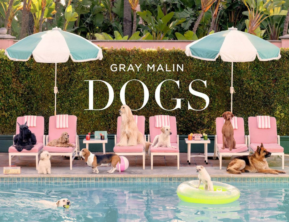 Grey Malin: Dogs