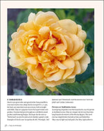 Book Joy of Roses