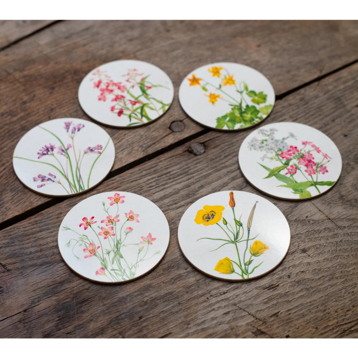 Coasters S&B Set of 6 - Our June