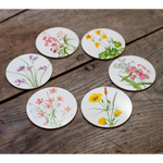Coasters S&B Set of 6 - Our June