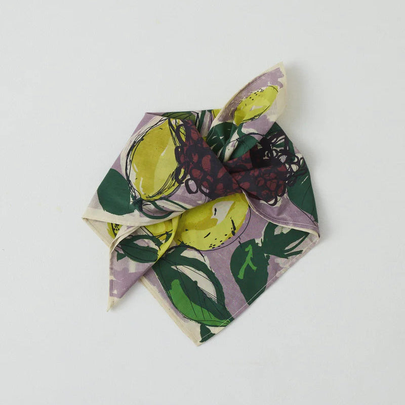 Bandana Sketched Fruit