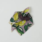Bandana Sketched Fruit