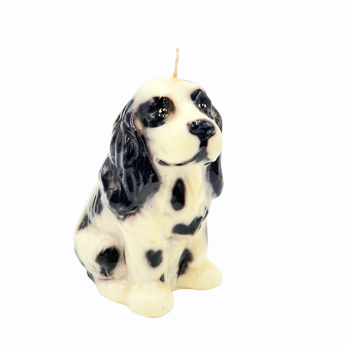 Candle Cocker Spaniel Black/White