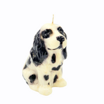 Candle Cocker Spaniel Black/White