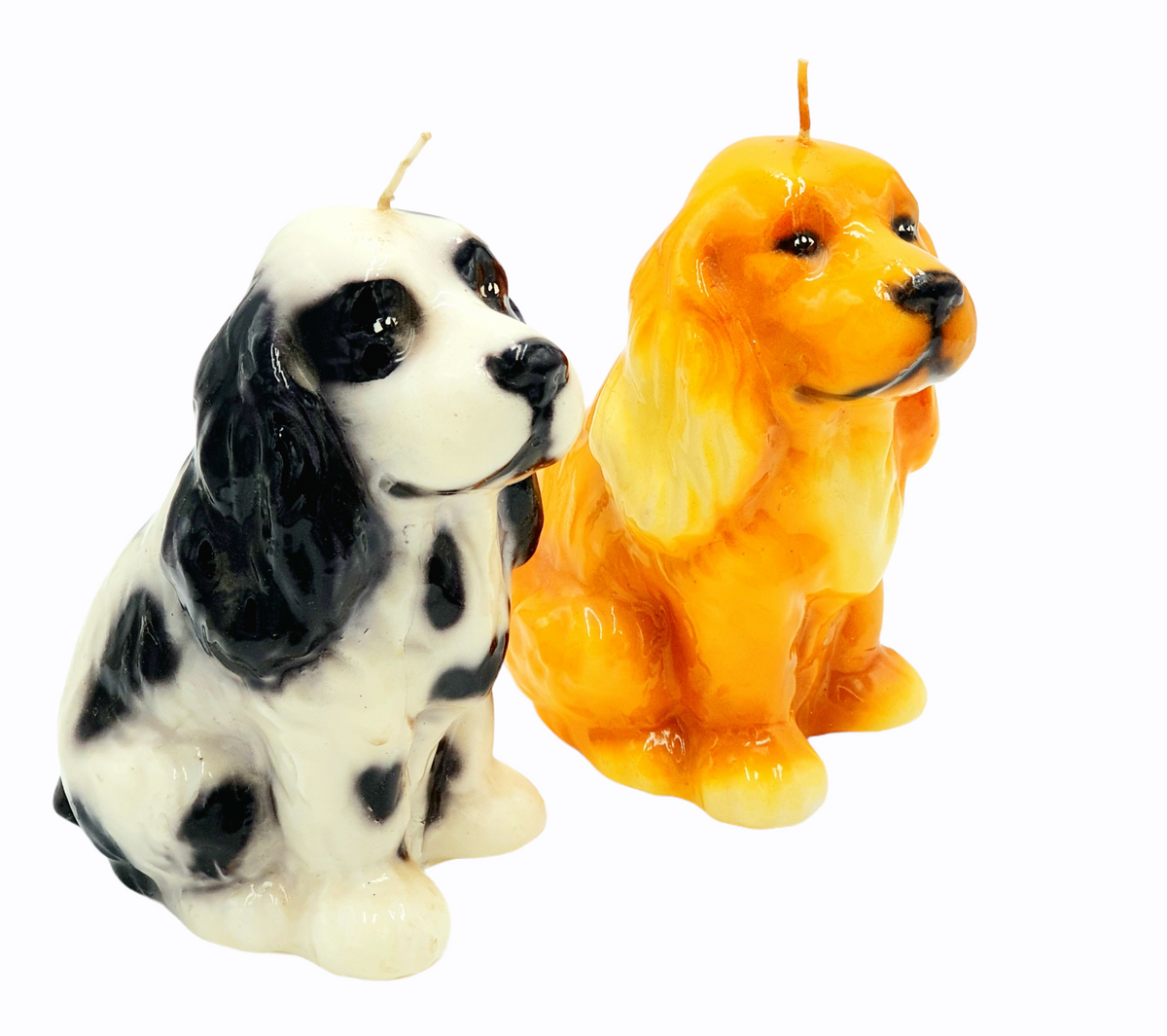 Candle Cocker Spaniel Black/White