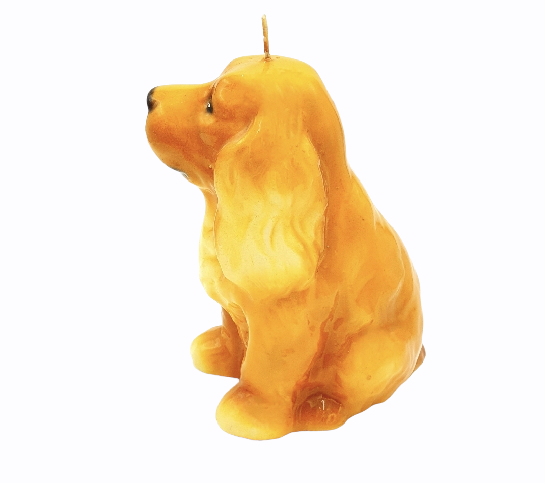 Candle Cocker Spaniel Yellow