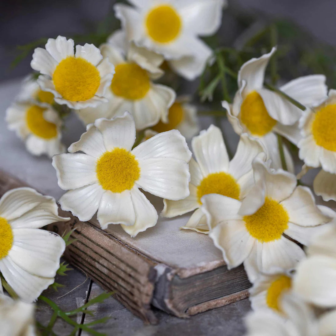 Flowers Artificial Cosmos Buttermilk