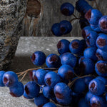 Hawthorn Berry Midnight