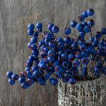Hawthorn Berry Midnight