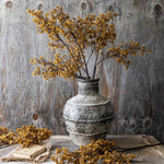 Sedge Winter Saffron
