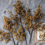Sedge Winter Saffron