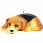 Candle Beagle