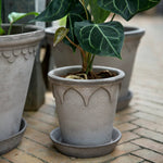 Pot Elizabeth - Raw Grey Set