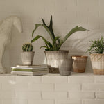 Pot Atlas - Raw Grey