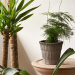 Pot Atlas - Raw Grey