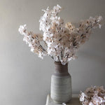 Floral Bougainvillea Blush Stem