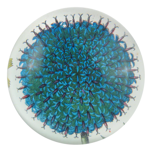 Paperweight John Derian: Blue Flower