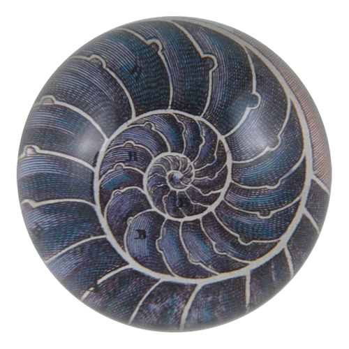 Paperweight John Derian: Nautilus