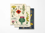 Mini Vintage Notebooks Wildflowers Set of 3