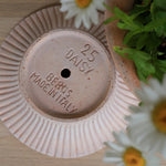 Pot Set Daisy - Raw Rosa
