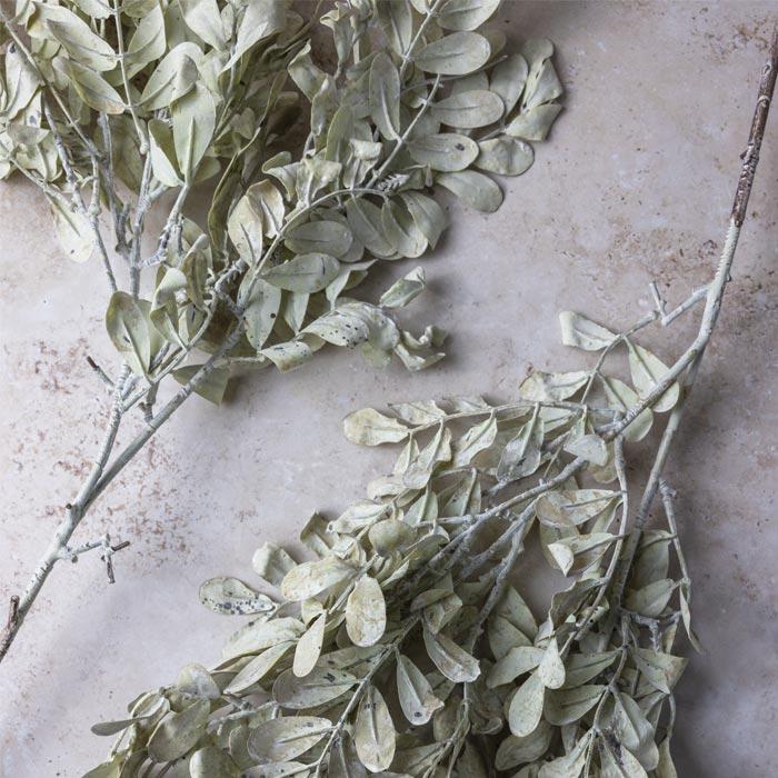Floral Eucalyptus Cream Stem