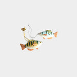 Orn Fish