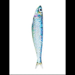 Sardine - Sardine World