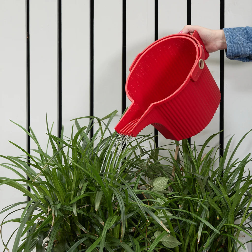 Watering Can Hachiman Garden Beetle