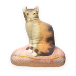 Pillow Cat