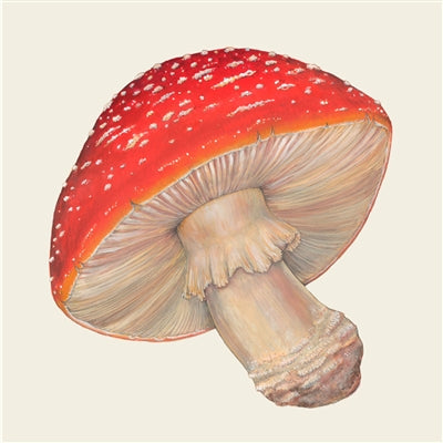 Napkin Cocktail Mushroom