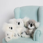 Koala Alpaca 12"