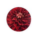 Placemat Dahlia 'Nuit d’Ete' round - cork backed 13.5"