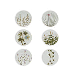 Coasters S&B Set of 6 - Herbarium