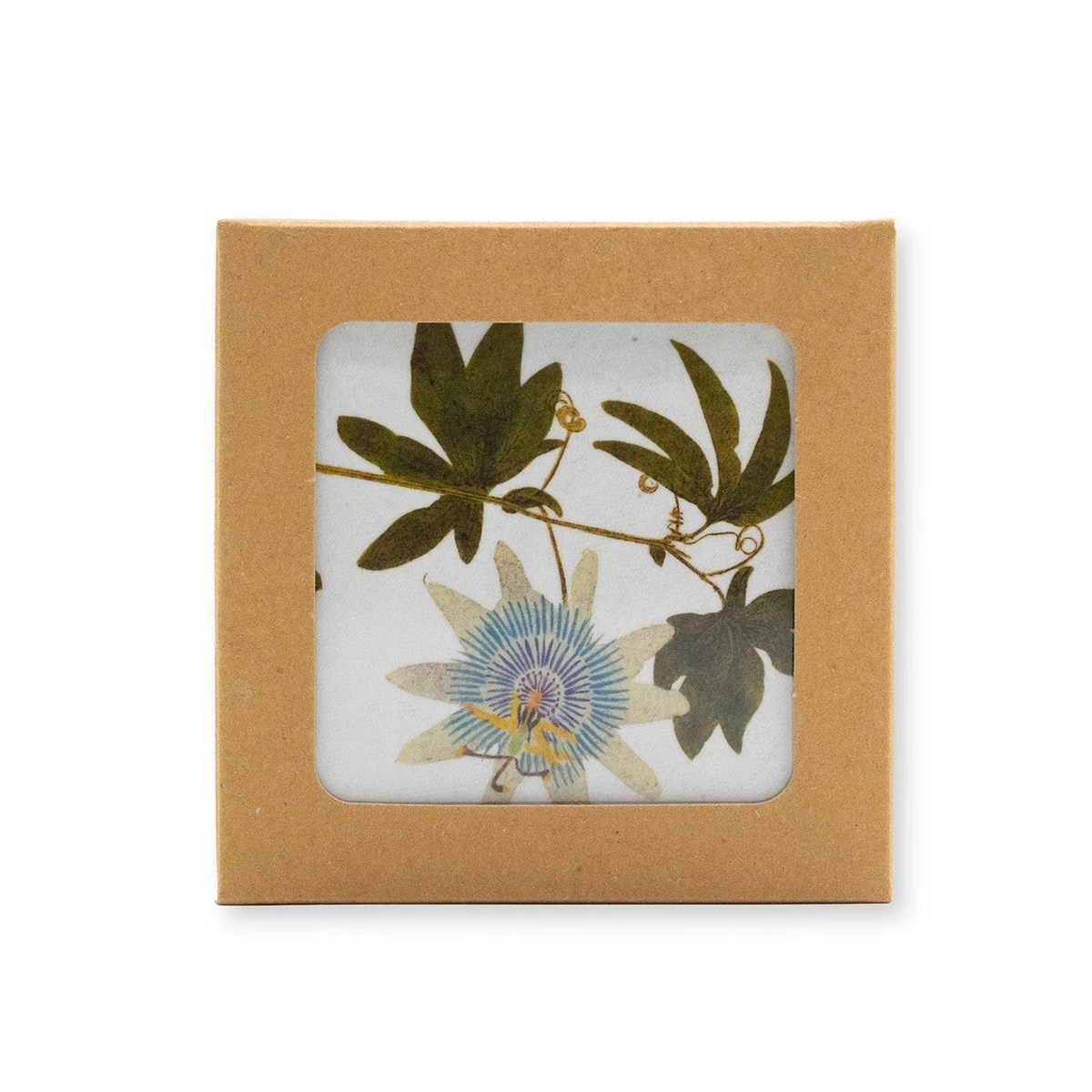 Coasters S&B Set of 6 - Herbarium