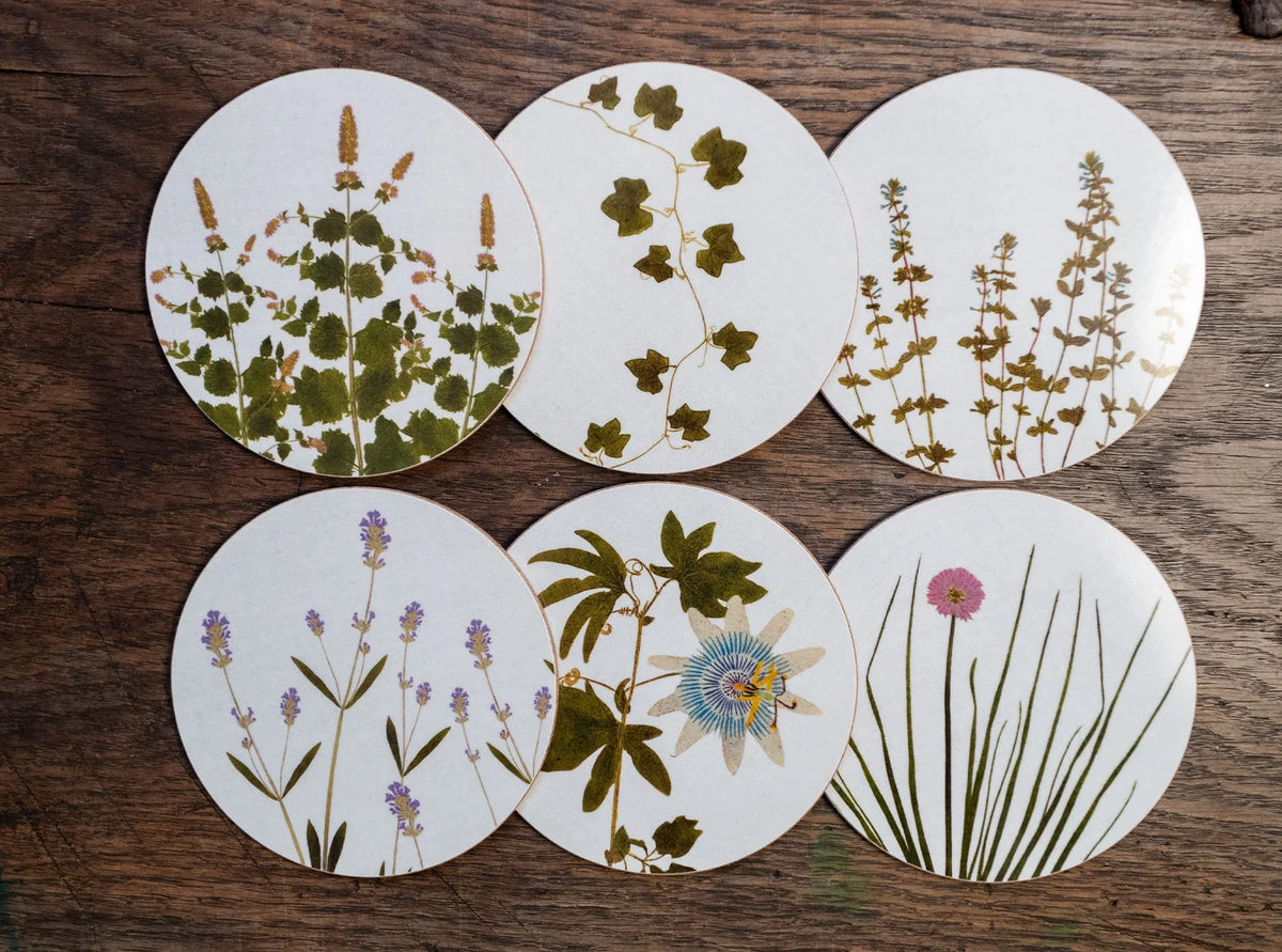 Coasters S&B Set of 6 - Herbarium