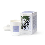 Candle - Theorie Botanique Budling of Cassis 50hrs