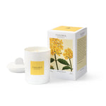 Candle - Theorie Botanique Oderant Vervaine 50hrs