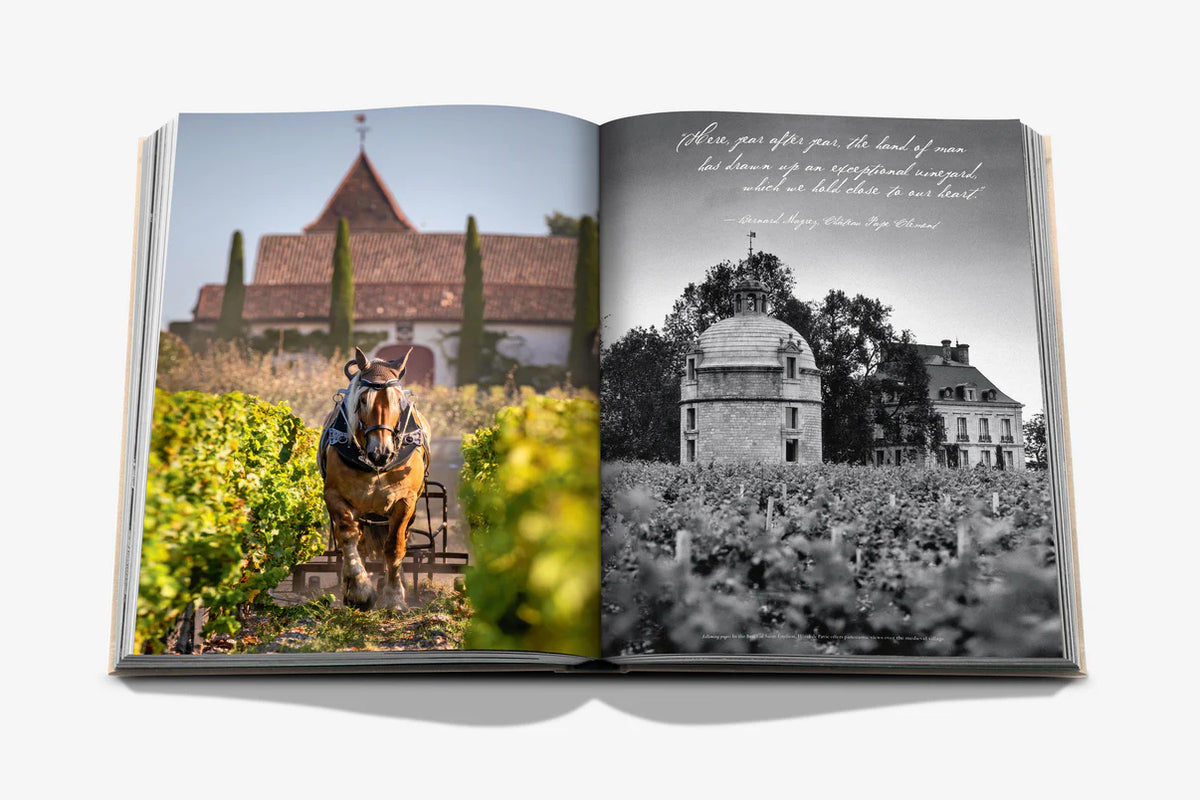 Inside image of Wine & Travel France by Enrico Bernardo, showcasing the beauty of French vineyards and wine regions.