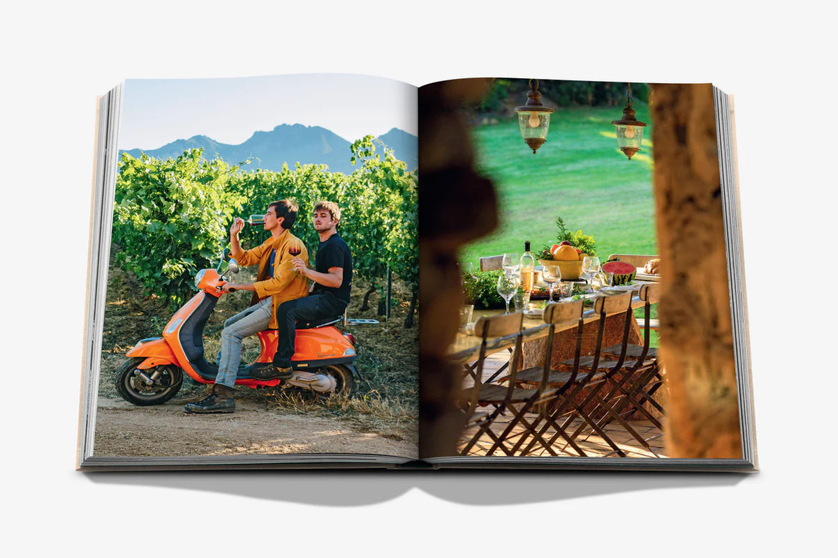 Inside image of Wine & Travel France by Enrico Bernardo, showcasing the beauty of French vineyards and wine regions.