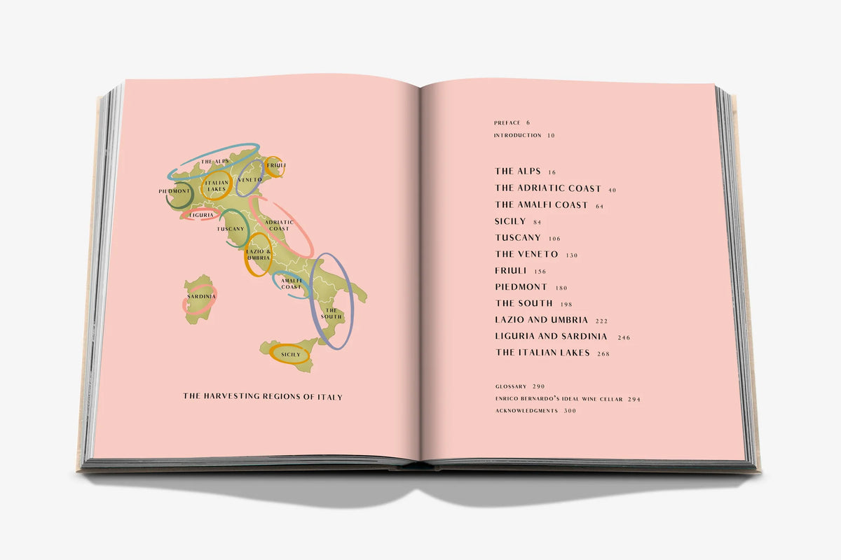 Inside image of Wine & Travel Italy by Enrico Bernardo, highlighting the diverse landscapes and vineyards of Italy’s wine regions.