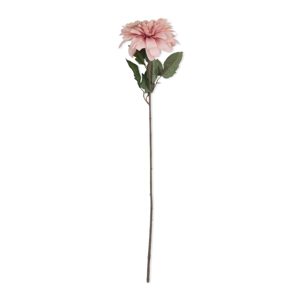 Artificial Dahlia, Flamingo