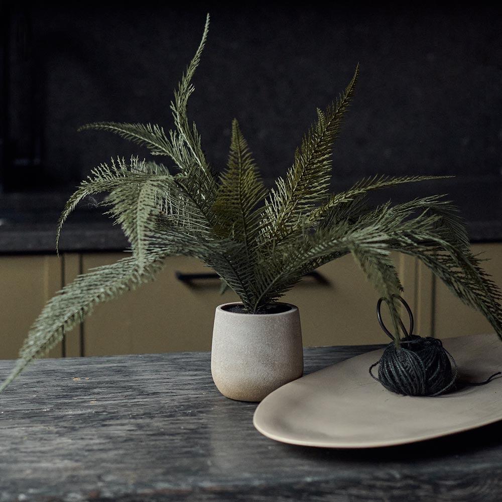 abigail ahern plant pots Deer Fern