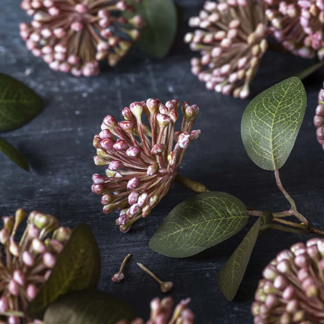 Floral Eucalyptus Cream Stem