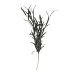 Willow Branch Stem - Jade