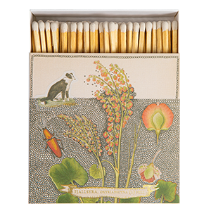 Matchbox square Assorted