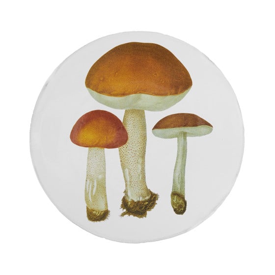 Plate Dinner Bolet Rude & Bolet Oronge