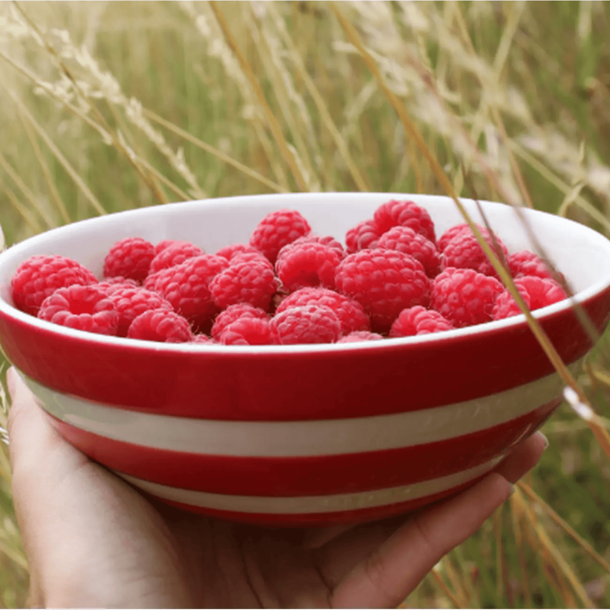 Cornish Cereal Bowl